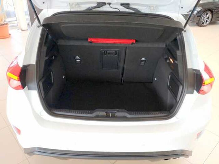 Ford Focus ST 2.0 EcoBlue beh.Frontsch.+Lenkrad WR