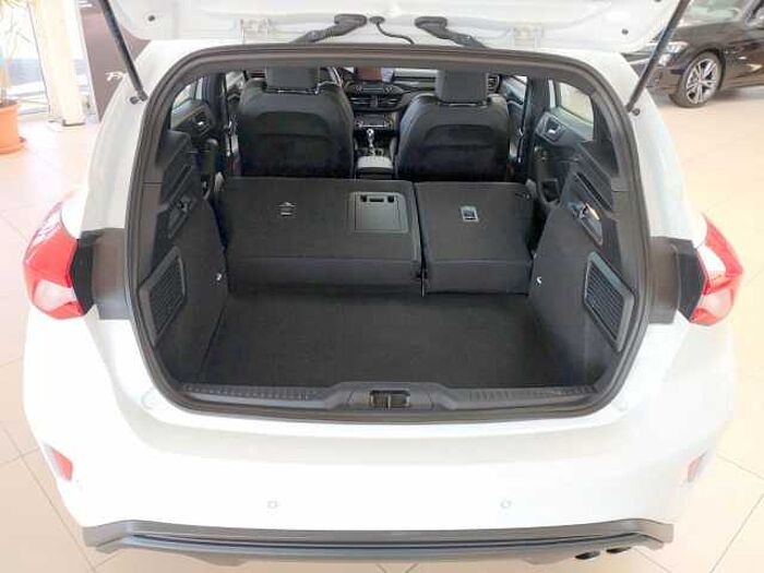 Ford Focus ST 2.0 EcoBlue beh.Frontsch.+Lenkrad WR