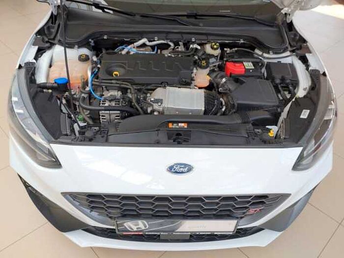 Ford Focus ST 2.0 EcoBlue beh.Frontsch.+Lenkrad WR